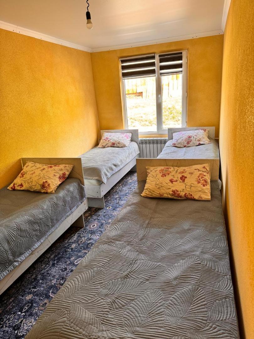 Ala-Kul Guesthouse In Altyn-Arashan Karakol Exterior photo